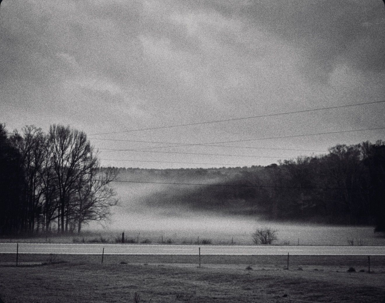 Black and white photo of misty rural landscape with bare trees, power lines, and rolling hills under cloudy sky.