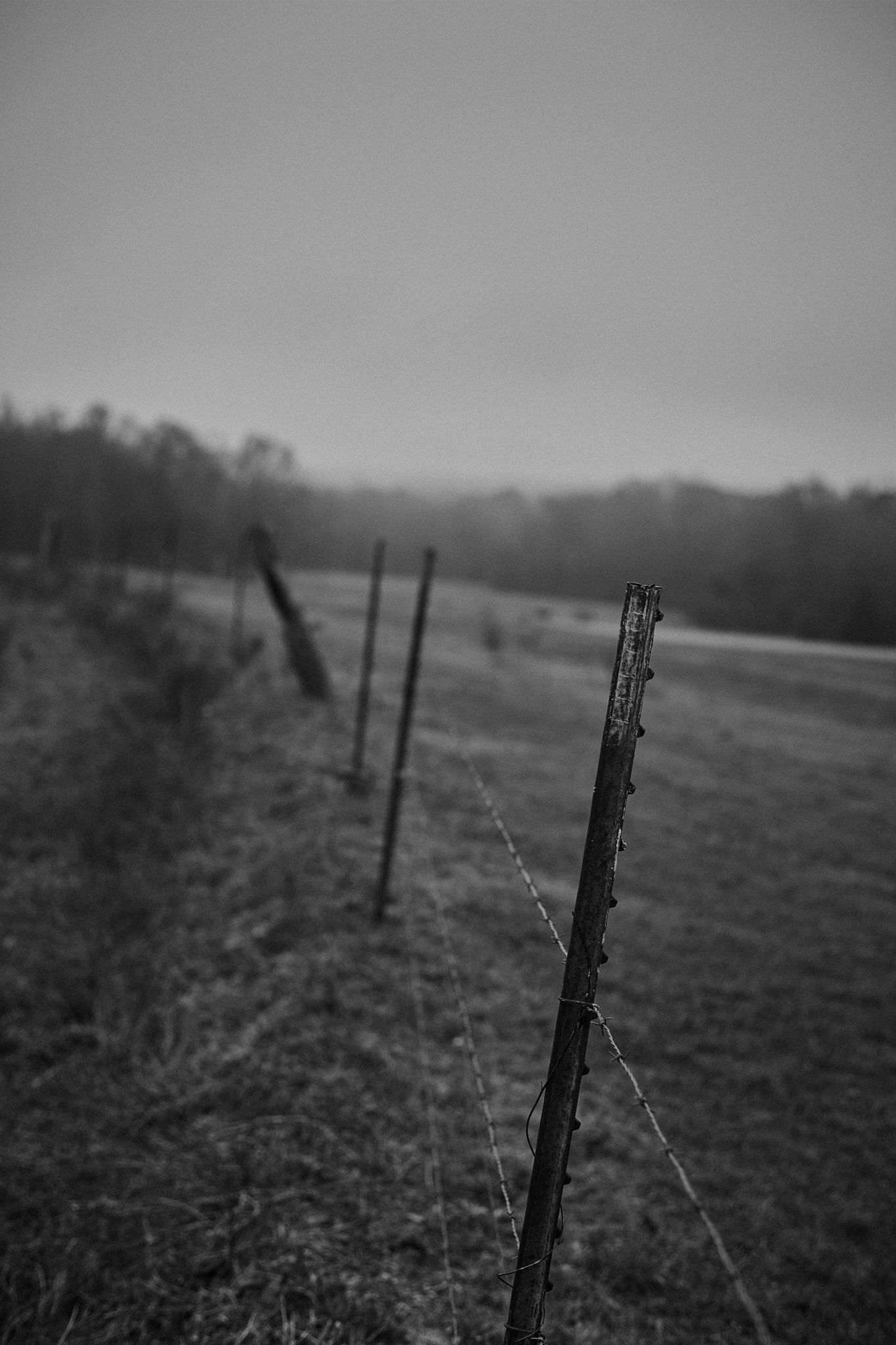 Black and white photo of rustic barbed wire fence posts receding into a misty rural landscape.