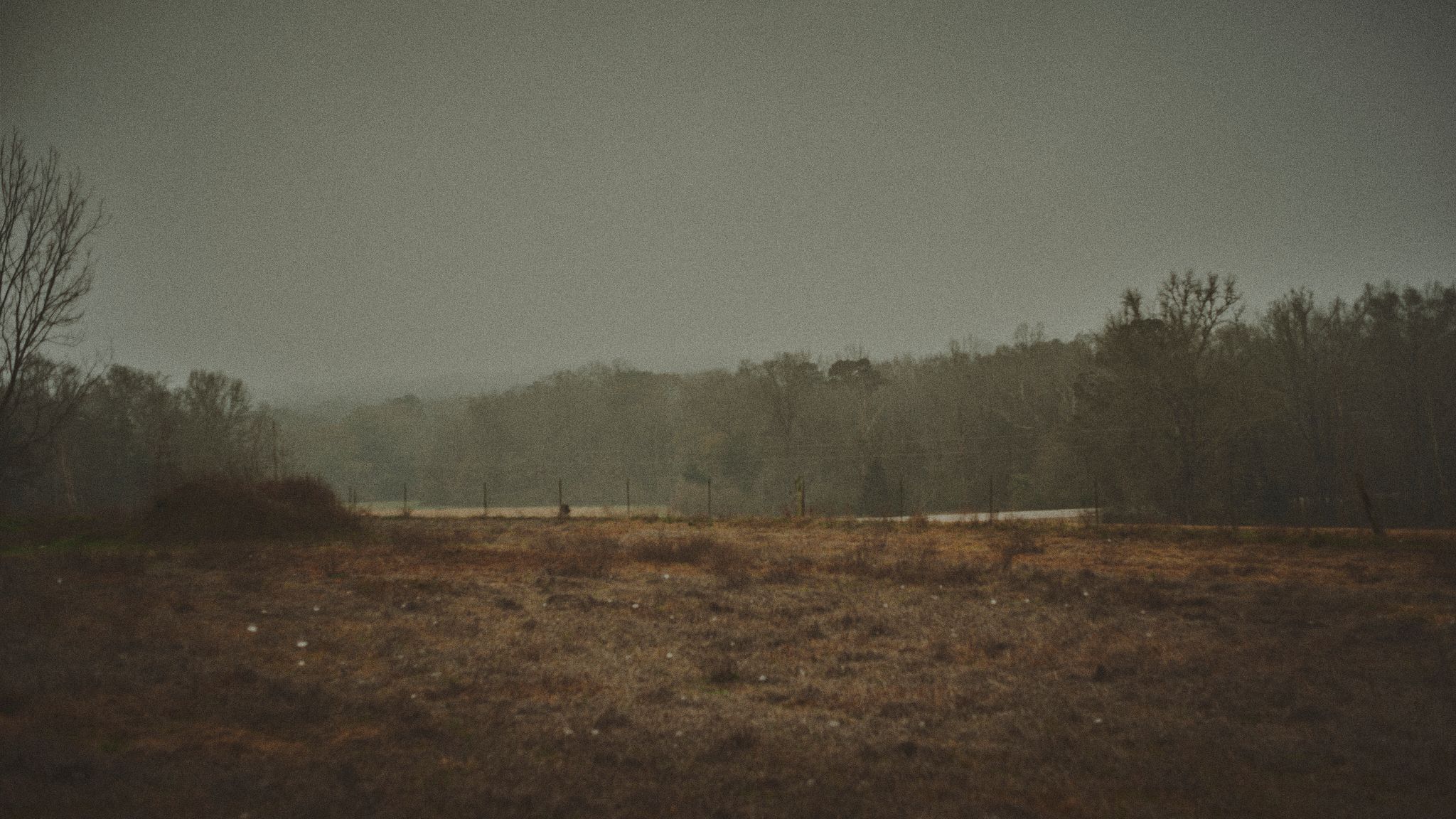 Moody overcast landscape with barren field, leafless trees, and foggy forest in the background on a dreary day.