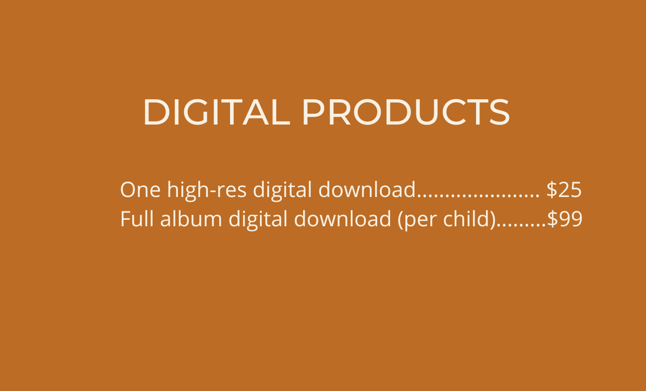 Digital product pricing menu displayed on an orange background.