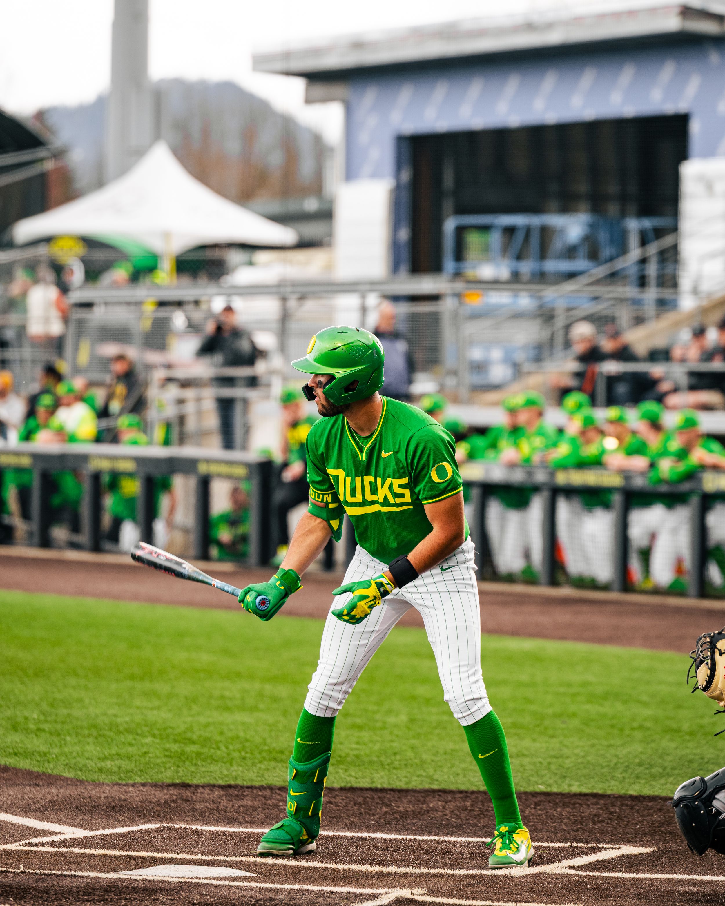 Oregon Ducks baseball player in green uniform at bat during a college baseball game at a packed stadium.