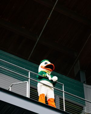 The University of Oregon Duck mascot stands on a stadium balcony wearing a green jersey and orange shoes.