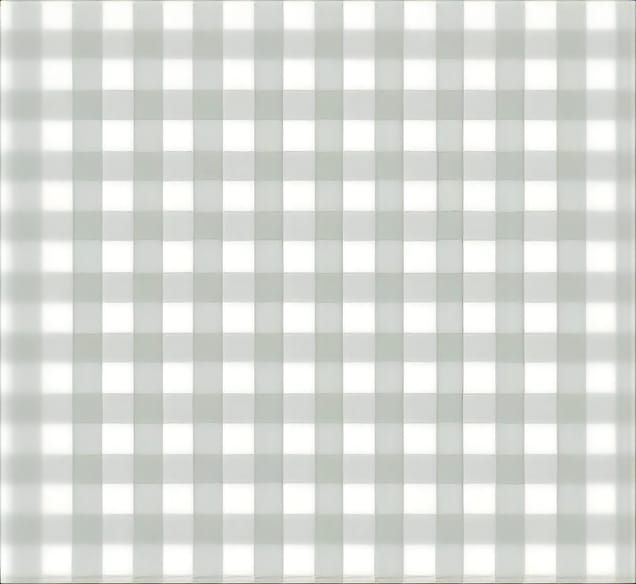 Gray and white buffalo check gingham plaid fabric pattern.