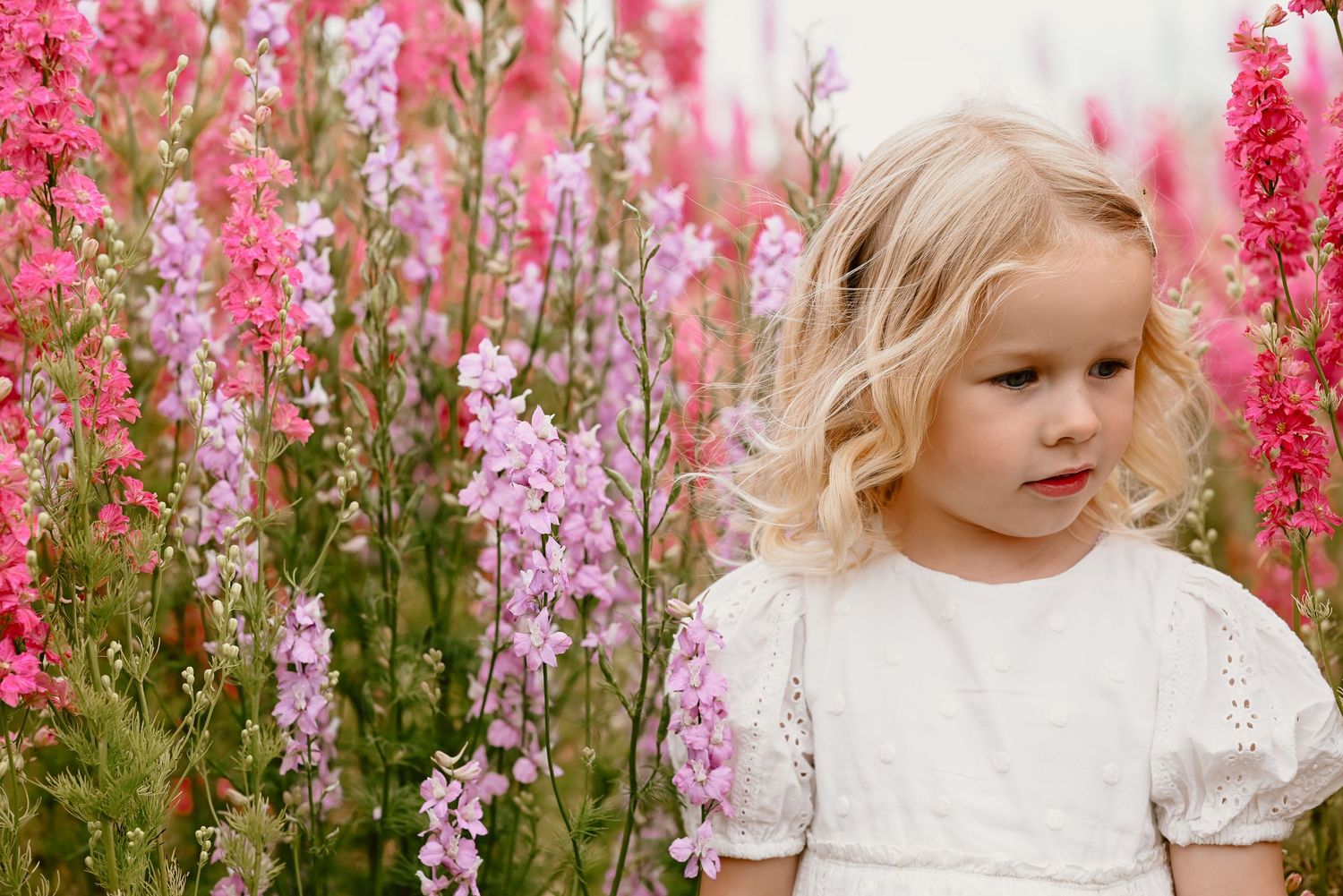 A young girl in a white dress stands amongst the delphiniums as the wind softly blows her hair as she explores.