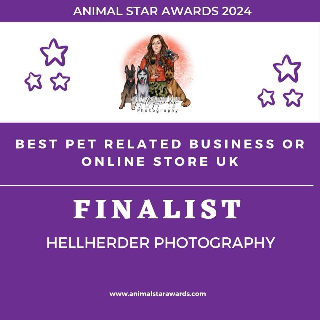 Purple banner announcing Animal Star Awards 2024 finalist for Best Pet Related Business Online Store UK.