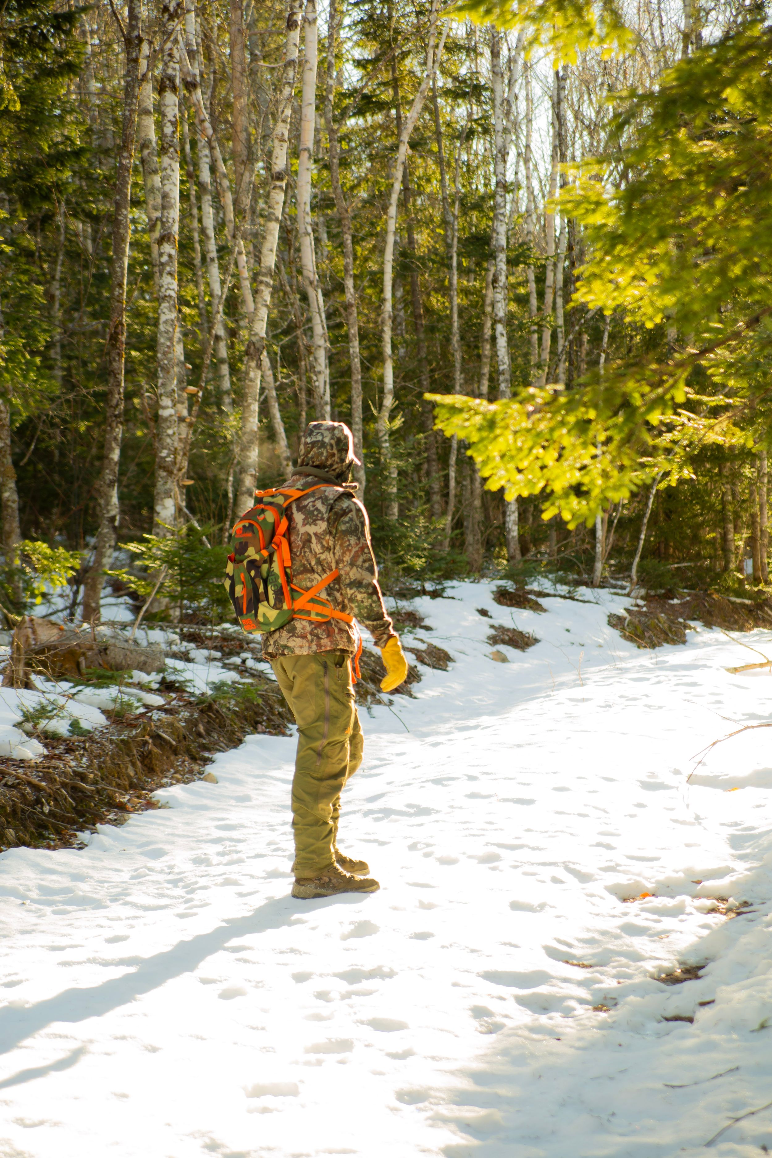 Person in hunting gear walking through snowy forest path during golden hour.