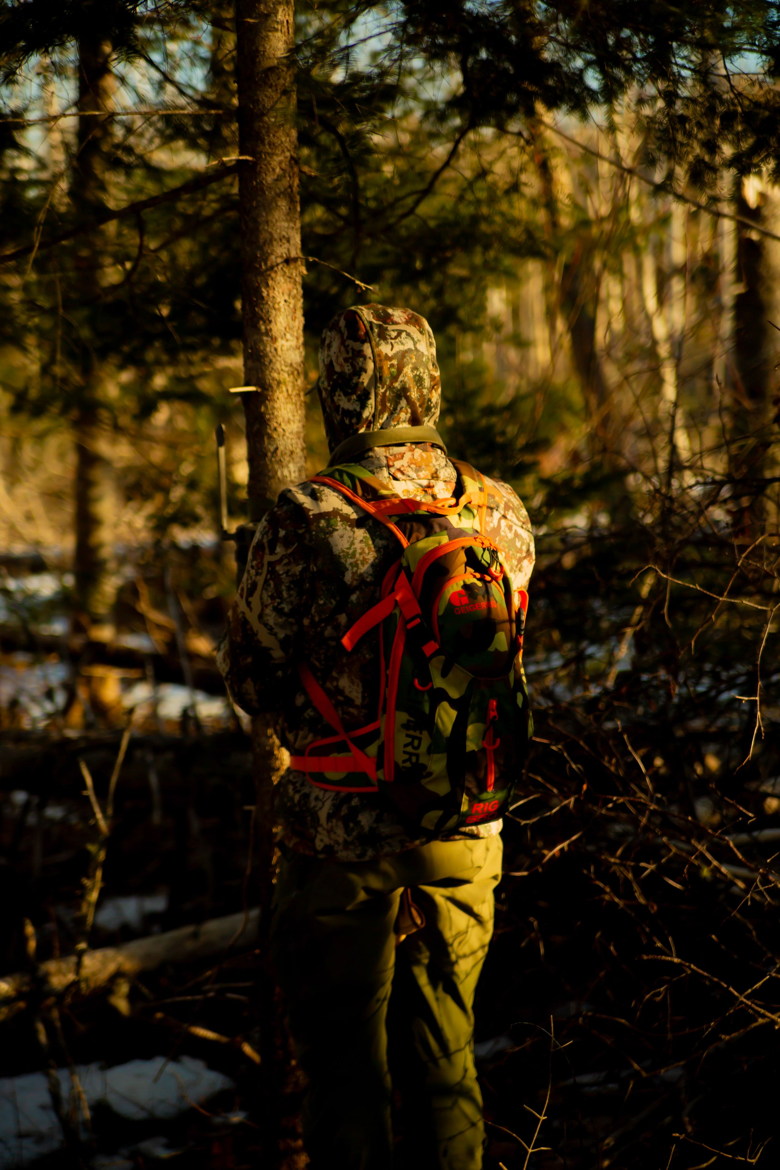 Hunter in camouflage with bright orange pack stands among snow-covered trees at sunset.
