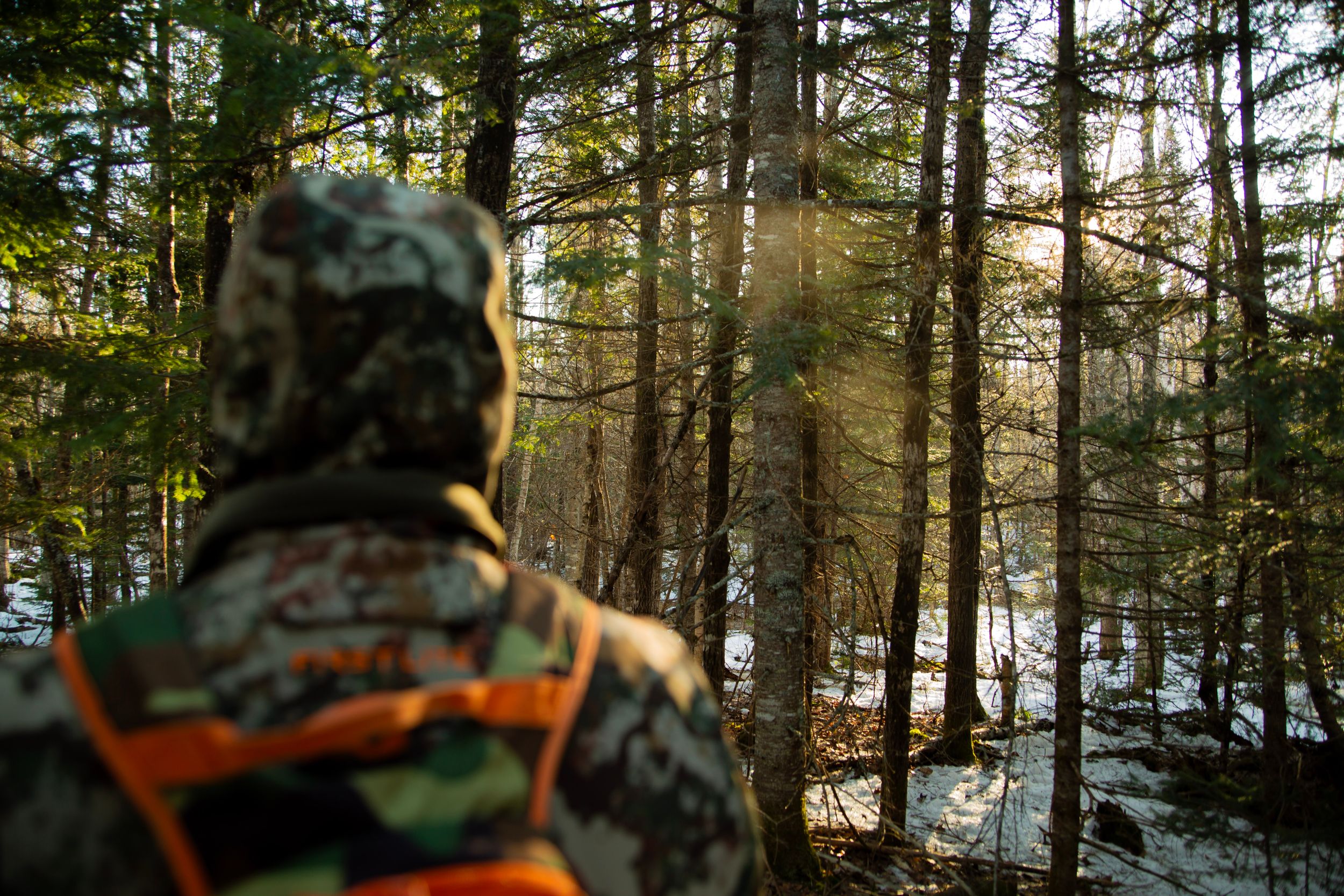 Sunlight streams through a snowy winter forest as a hunter in camouflage gear looks into the distance.