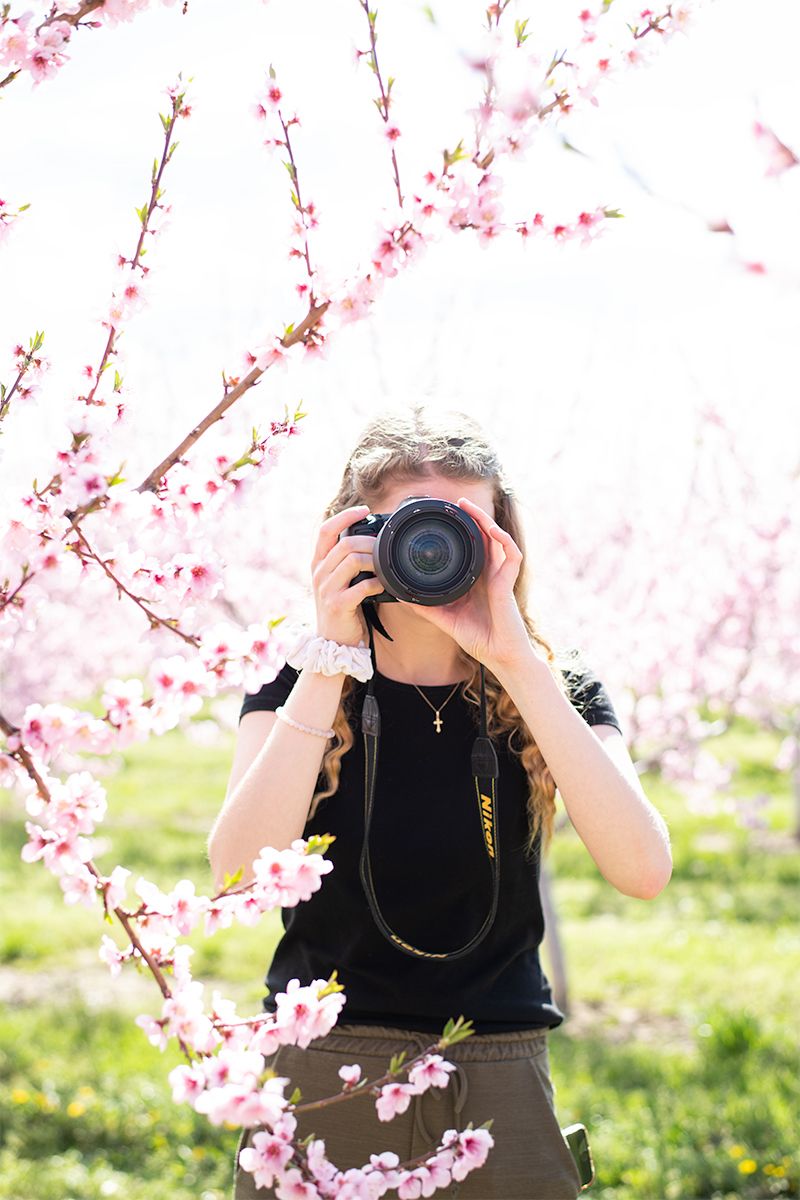 A photographer captures springtime cherry blossoms with a DSLR camera among blooming pink branches in soft sunlight.