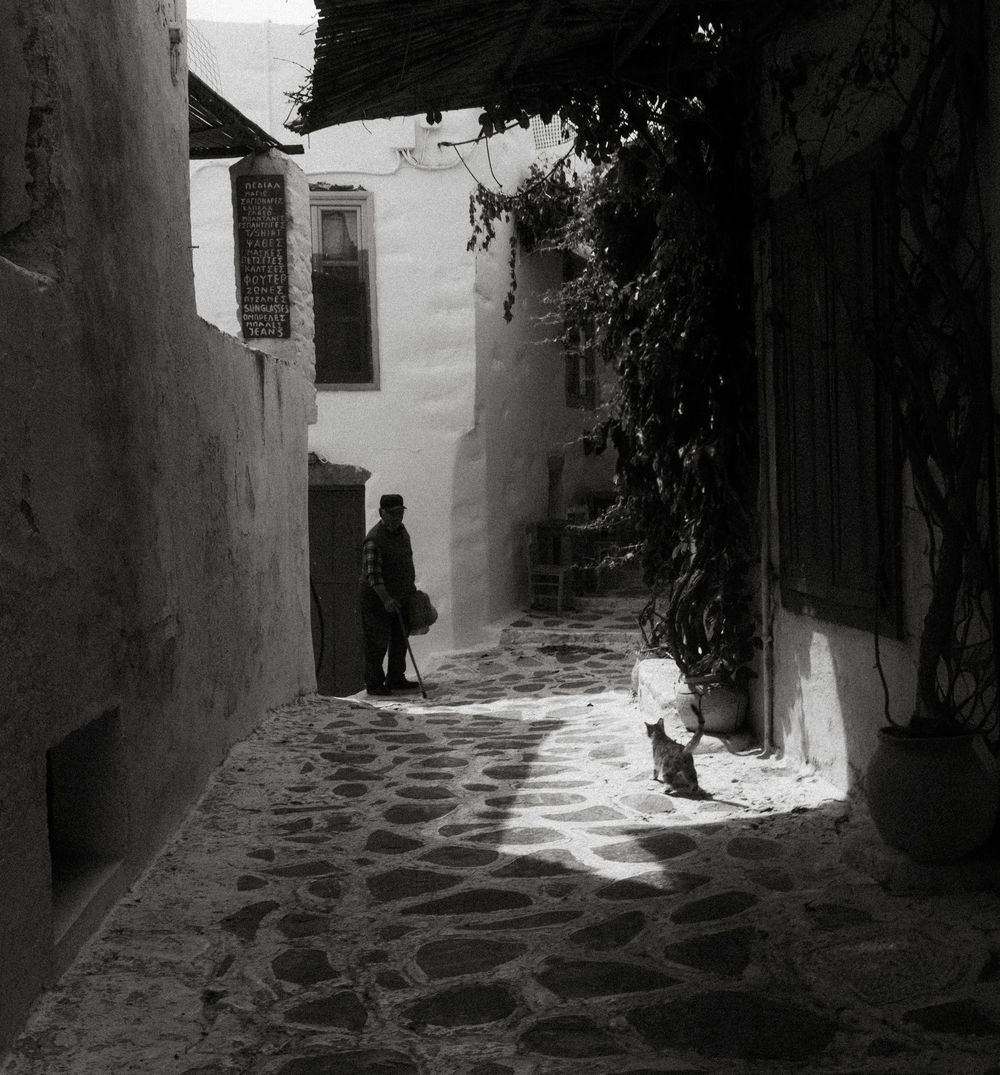 Black and white photo of a sunlit cobblestone alley with a person standing and a cat resting in a Mediterranean village.