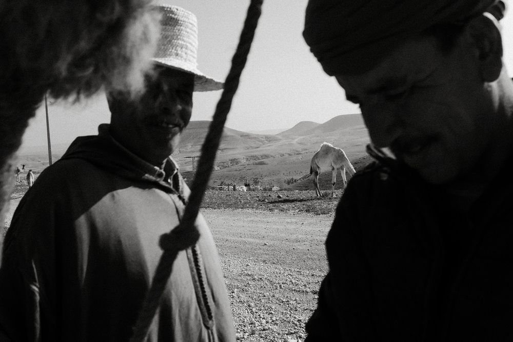 Black and white photo of two men in desert landscape with camels and mountains in background.
