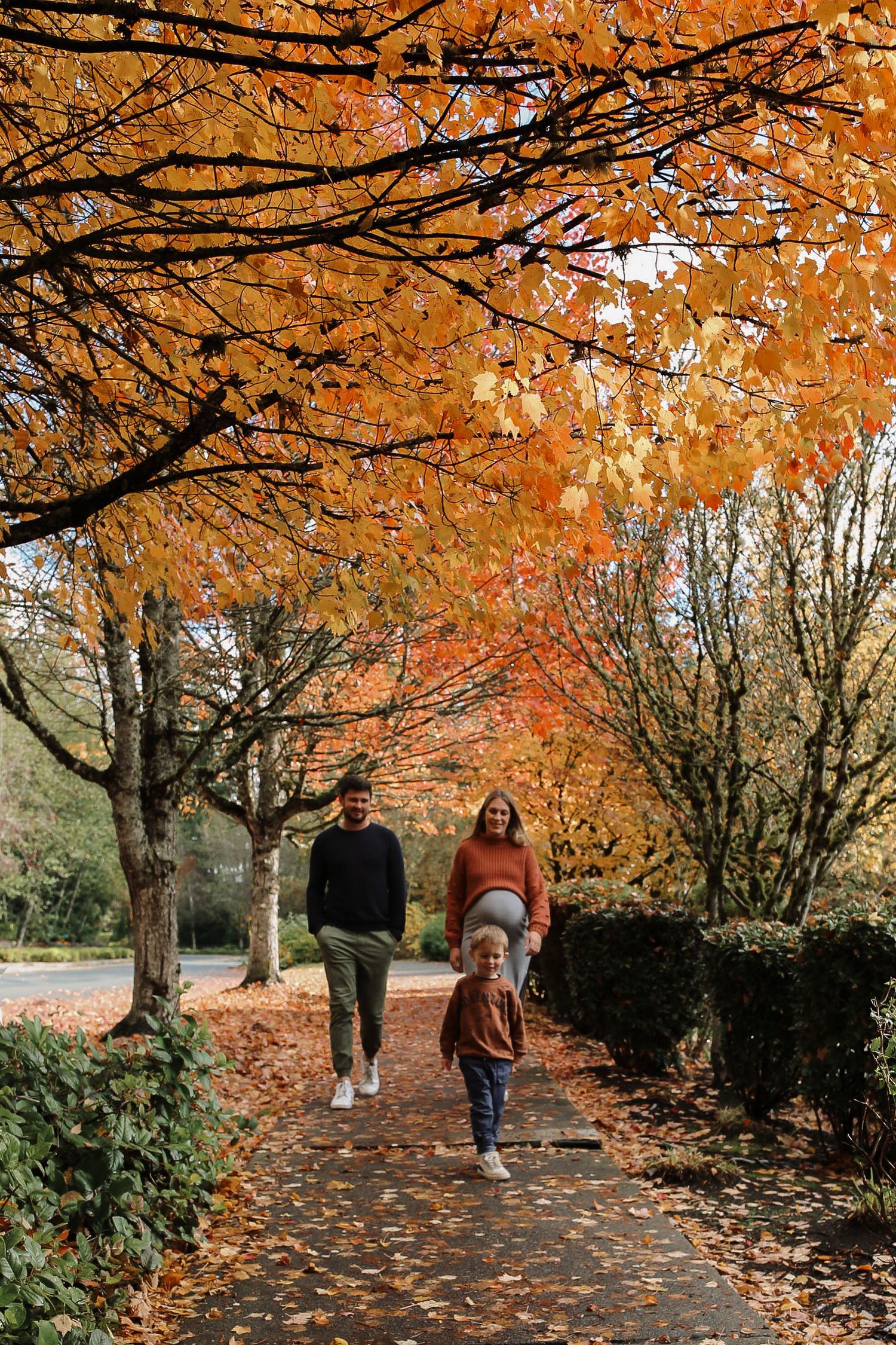 Family walking along autumn path under vibrant orange maple trees.