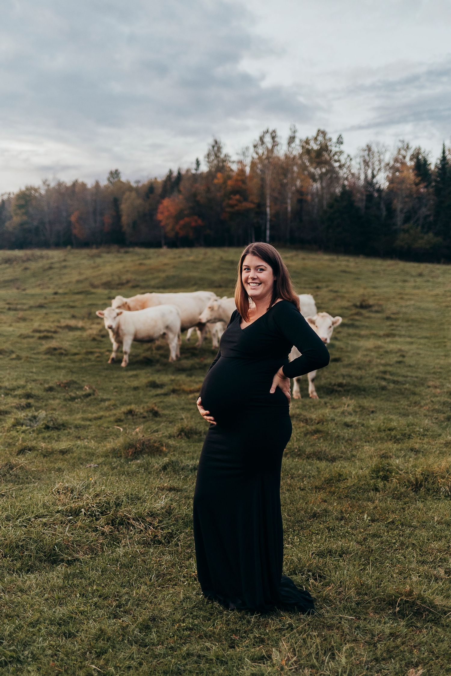 A pregnant woman in a black dress stands in a pastoral field with grazing cows on an autumn afternoon.
