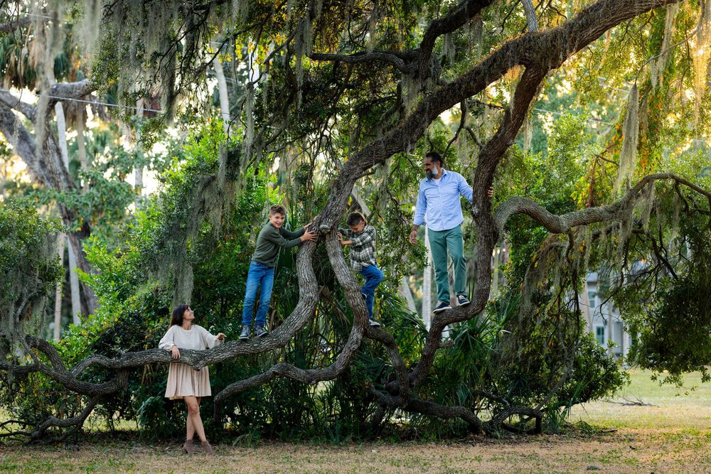 Playful family moment captured under Spanish moss draped trees in a natural outdoor setting.