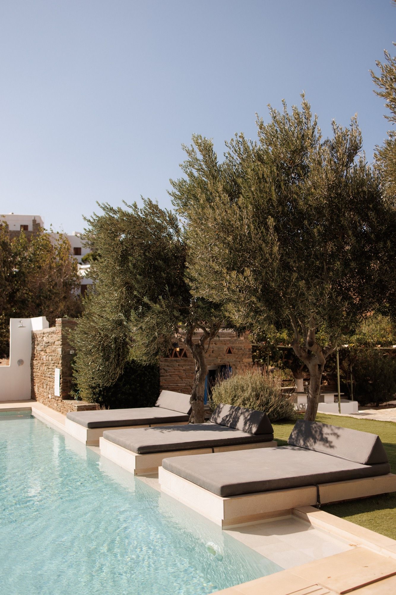Modern poolside lounge area with sleek gray daybeds and olive trees in a minimalist Mediterranean garden setting.