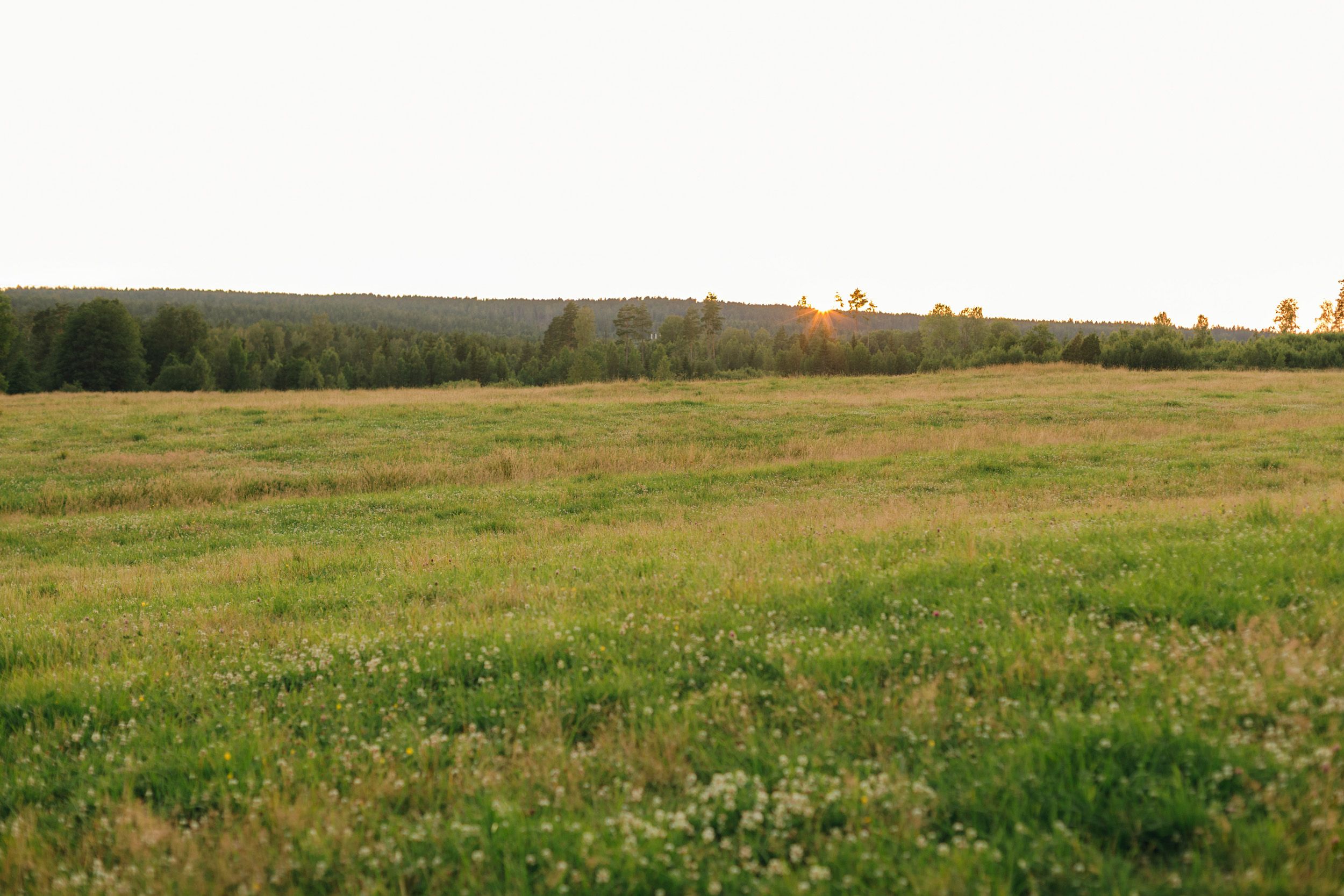 Parfotografering med Martina och Sebastian i Borgvik utanför Karlstad. Naturbild på åker med solen som går ner.