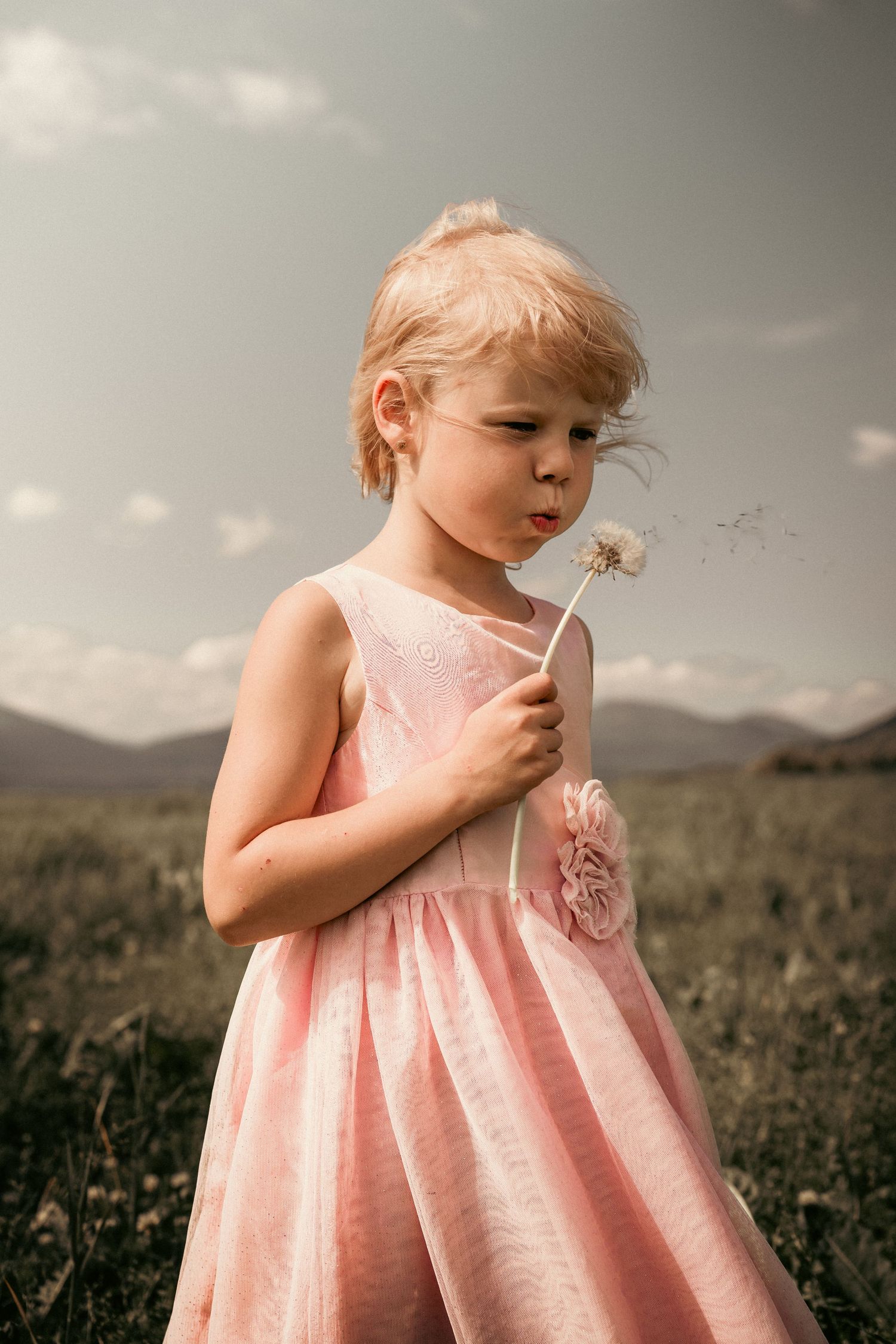 A small child in a pink dress explores a wildflower meadow with mountains in the background.