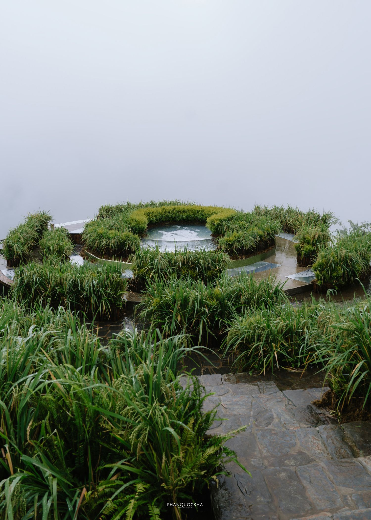 Circular terraced water garden with lush green reeds and grasses on a foggy day.