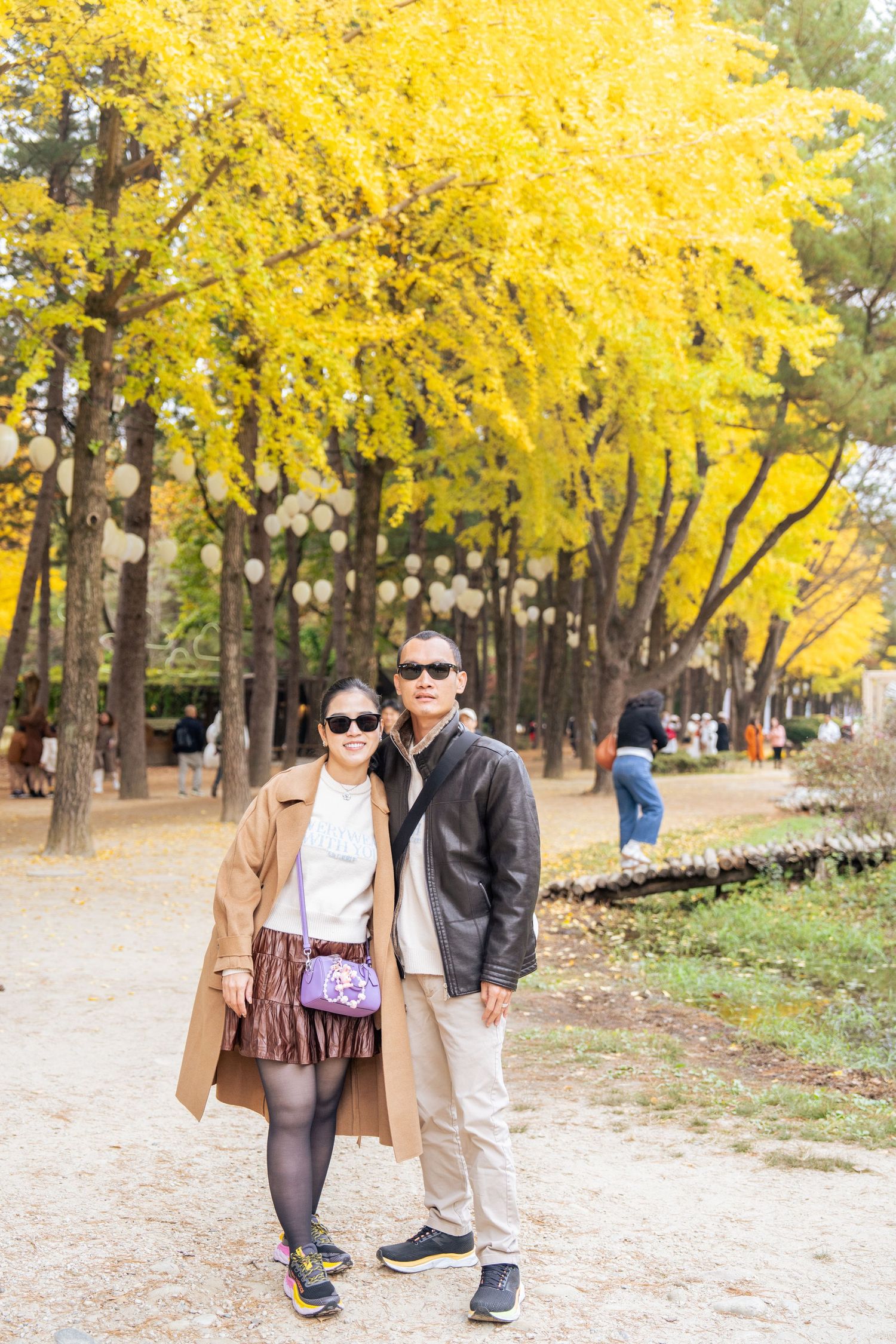 A couple walks together on a path lined with vibrant yellow ginkgo trees during autumn.