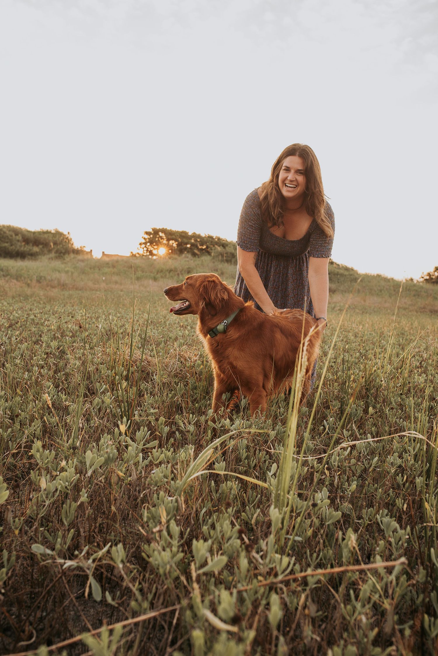 A golden retriever and companion enjoy a peaceful moment together in a grassy field at sunset.