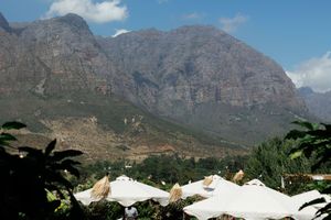 Dramatic mountain peaks rise above white umbrellas and palm trees at a scenic outdoor venue in South Africa.