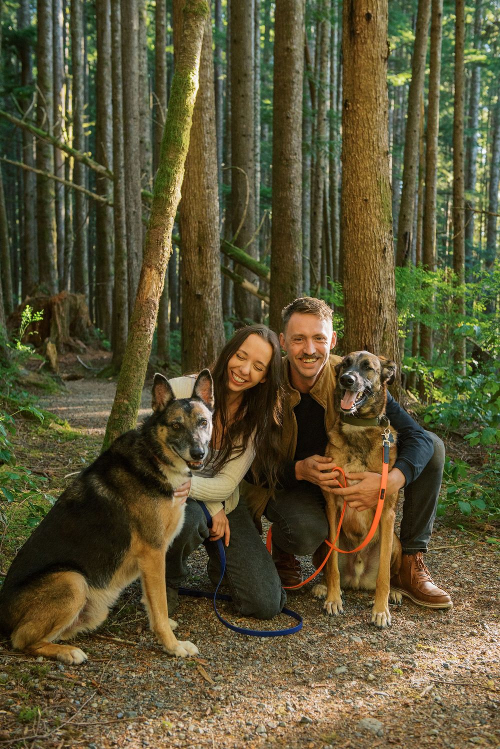Three German Shepherds and a mixed breed dog sit with their owners on a forest trail surrounded by tall trees.