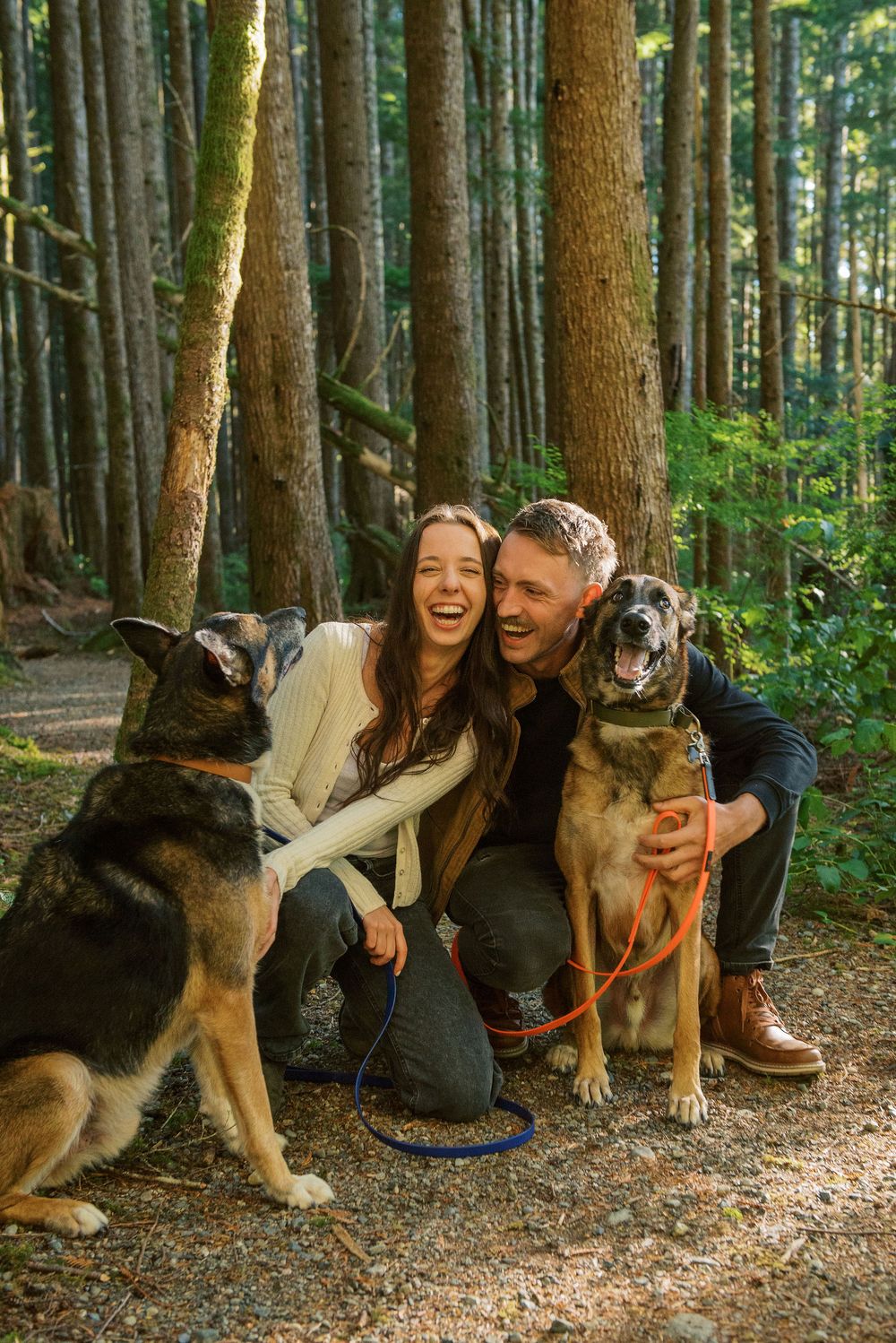 A couple sits with their German Shepherd dogs on a forest trail surrounded by tall evergreen trees.