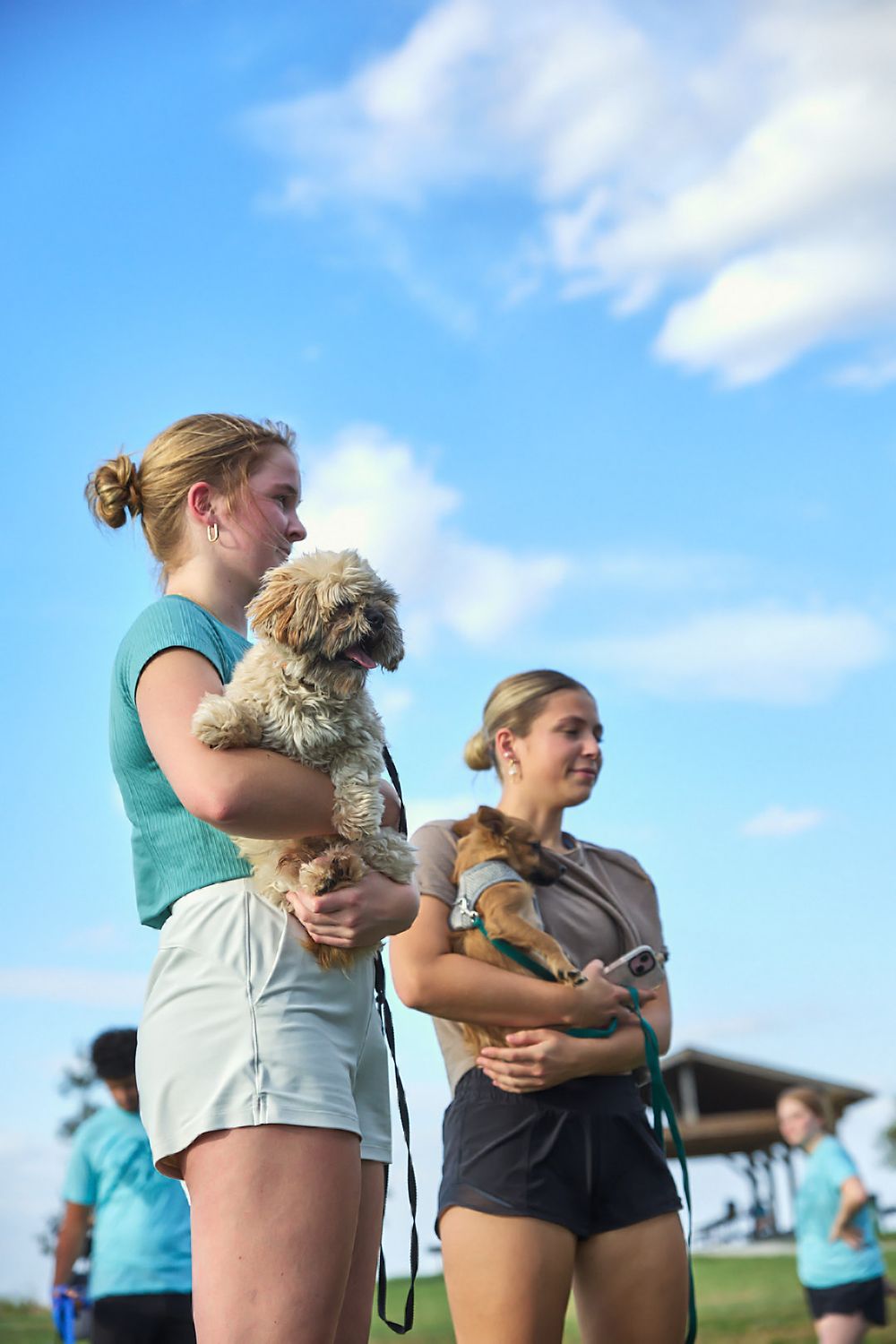 People holding small dogs while standing outdoors against a blue sky background.