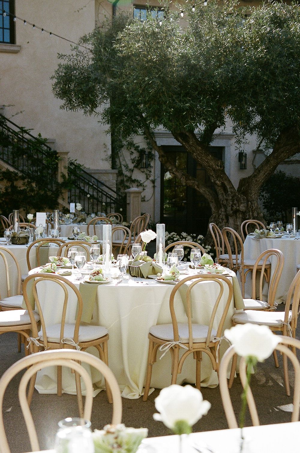 Elegant outdoor wedding reception setup with round tables, cream tablecloths and classic chairs under olive trees.