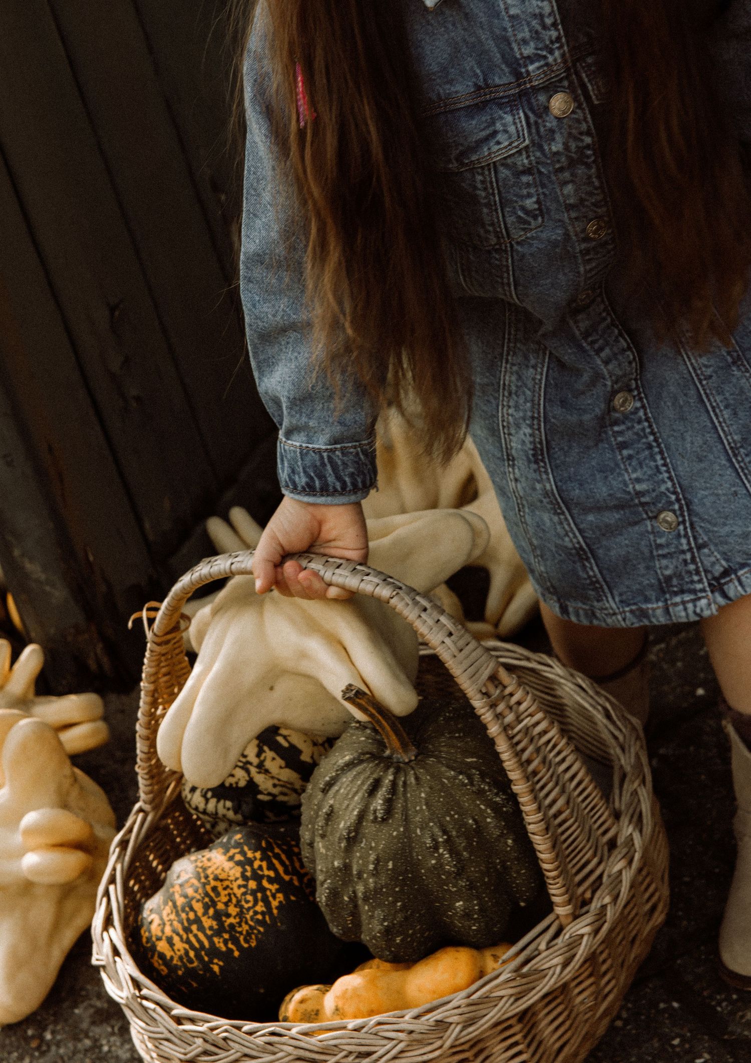 Artistic sequence showing hands arranging various pumpkins and gourds in a woven basket.