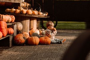 Warm-toned photo of multiple pumpkins lined up on wooden surface in evening light.