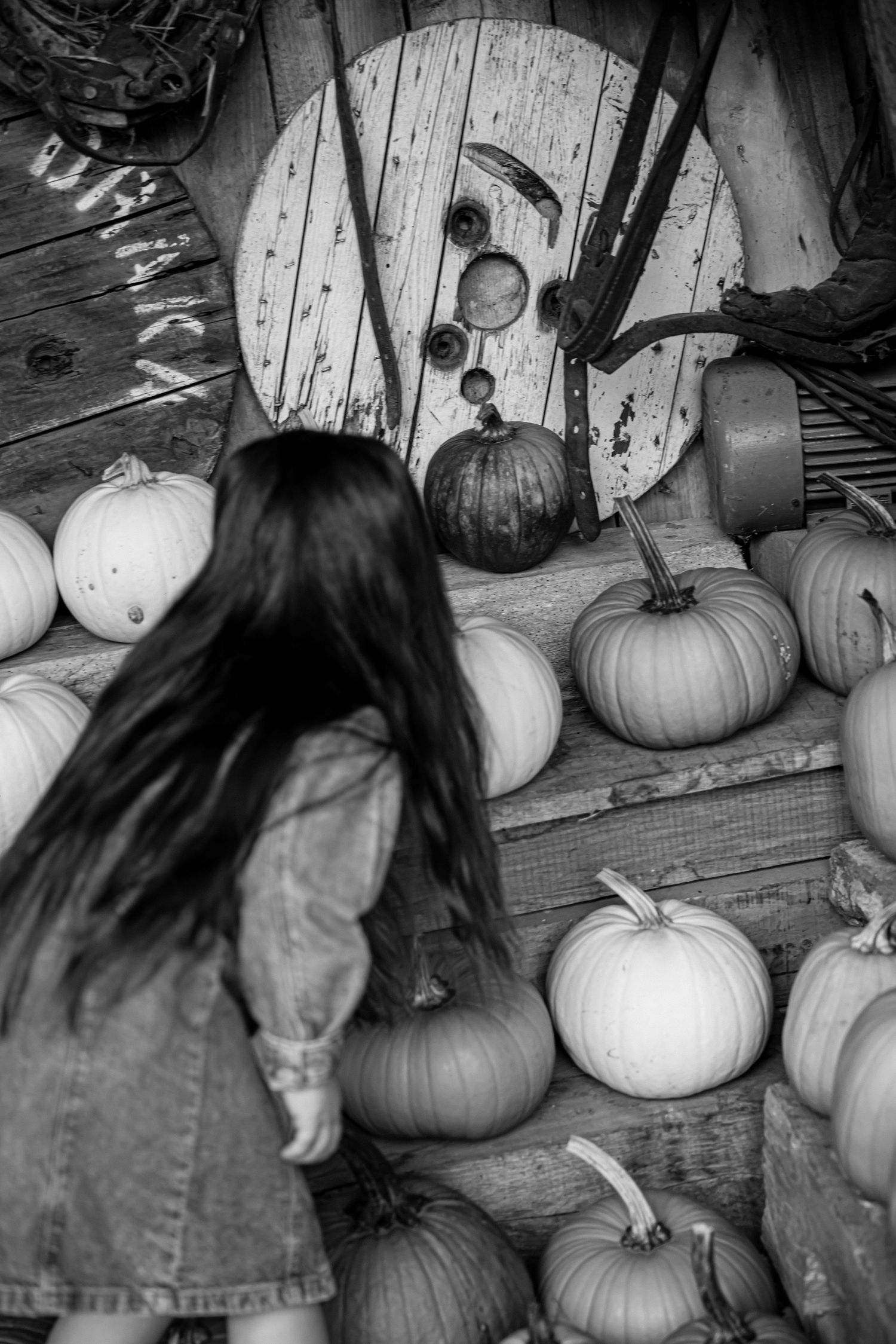 Black and white images of pumpkins arranged on rustic wooden steps.
