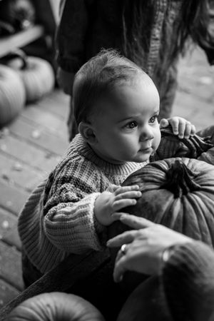 A sequence of black and white photos showing a small child reaching towards a pumpkin.