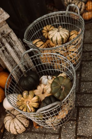 Rustic wire basket filled with decorative autumn gourds and small pumpkins.