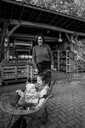 Outdoor scene with a wheelbarrow and autumn decorations under a covered porch.