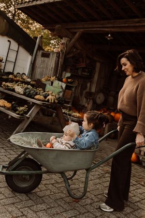 Rustic fall scene with a wheelbarrow and pumpkins on cobblestone ground.