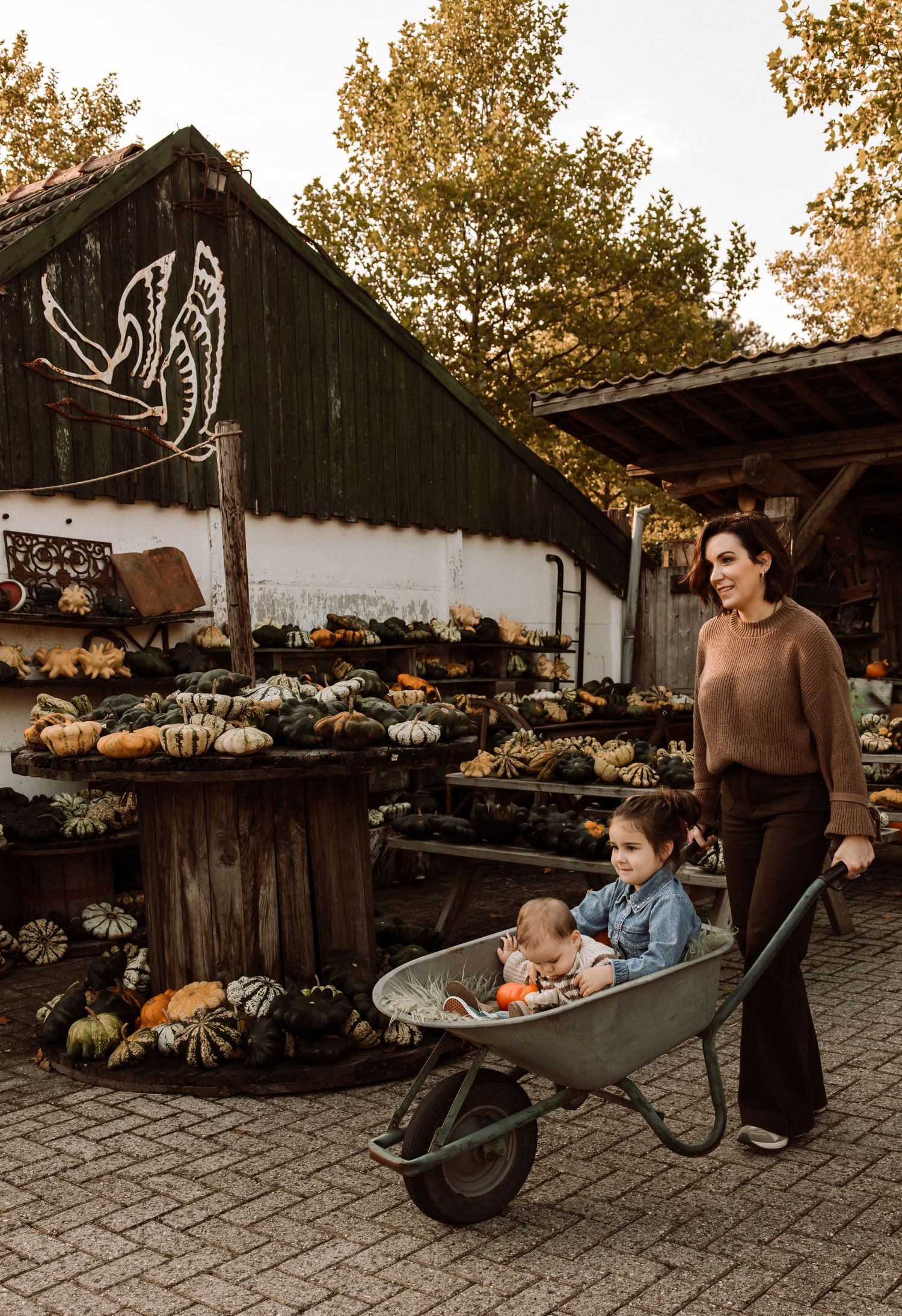 A wheelbarrow sits among autumn pumpkin displays at a rustic outdoor market.
