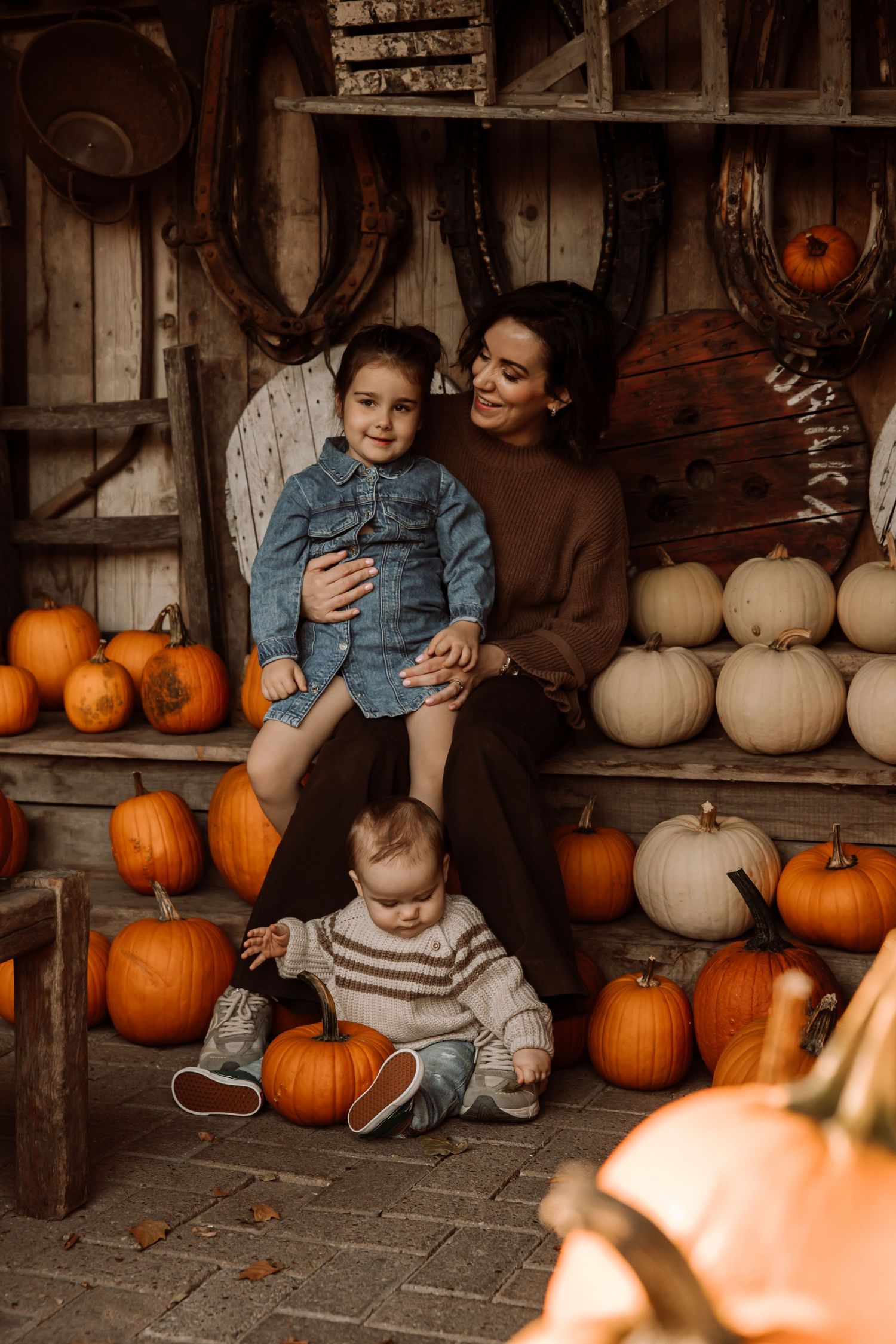 Cozy fall scene with orange pumpkins and white gourds displayed on rustic wooden shelves.