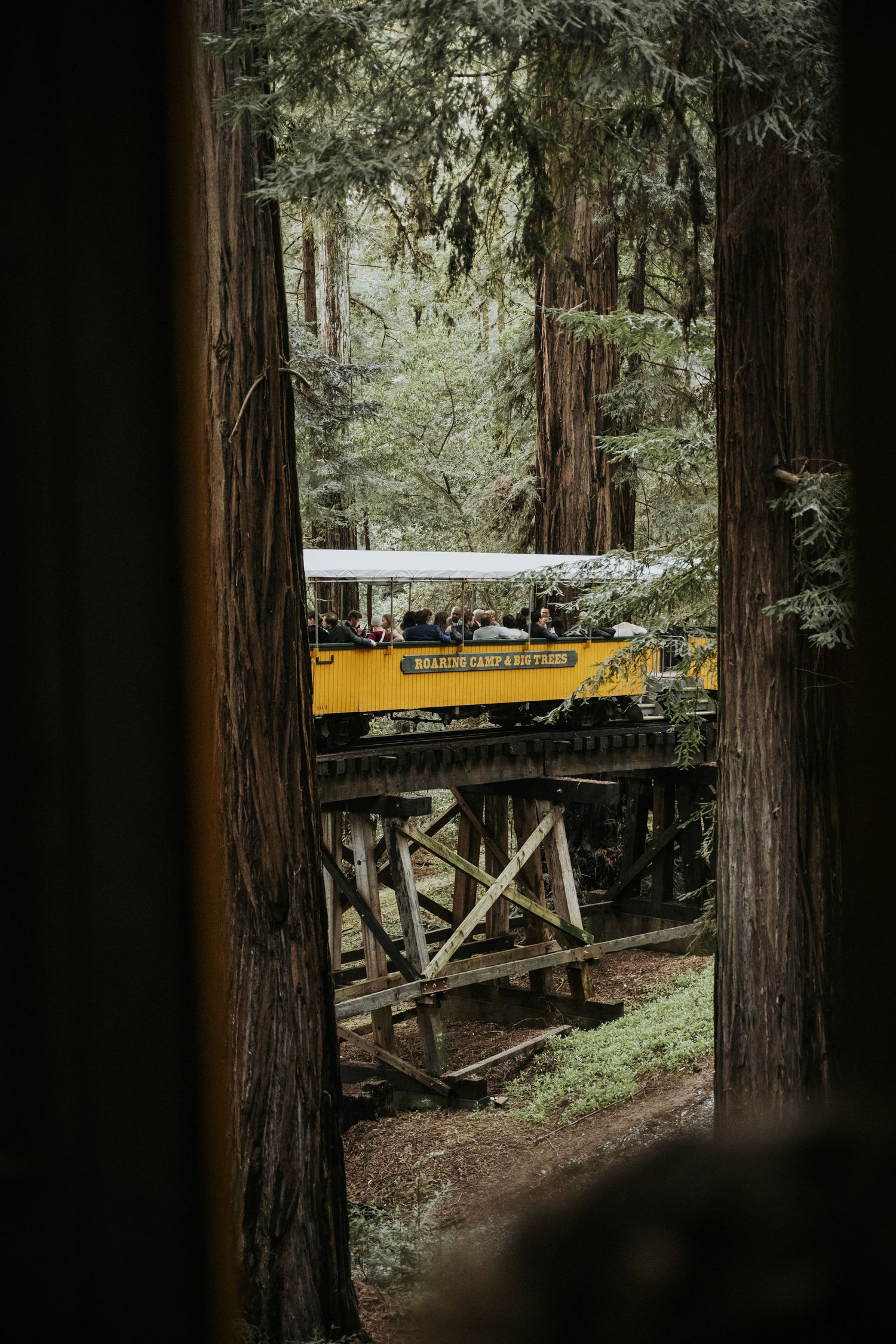 santa cruz wedding venues roaring camp train