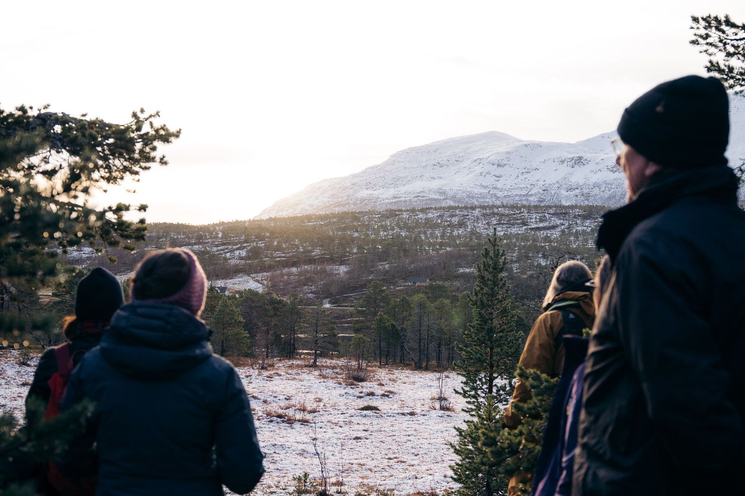 groupe en randonnée dans la toundra à tromso avec latitude blanche