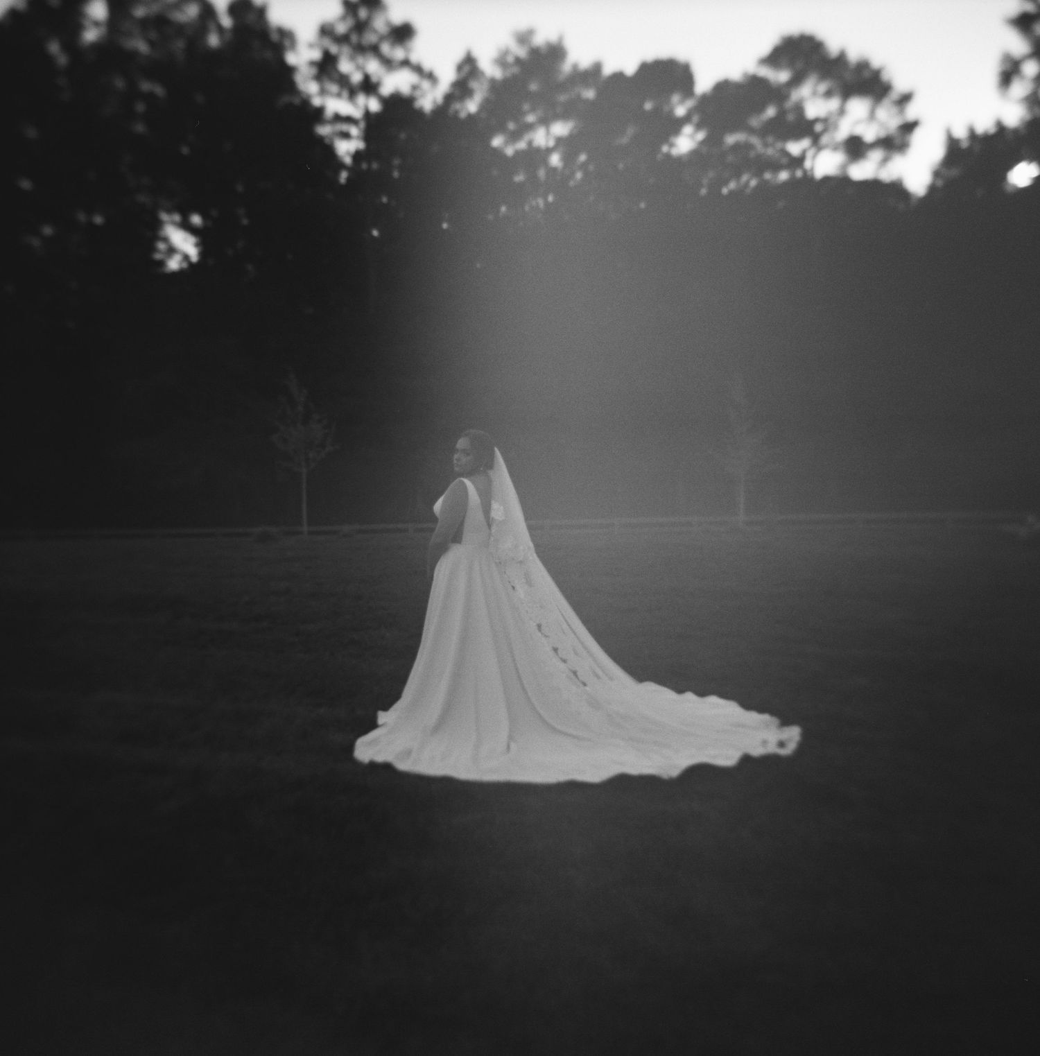 A silhouetted figure in a flowing wedding dress walks through a sunlit outdoor setting creating a dreamy atmosphere.