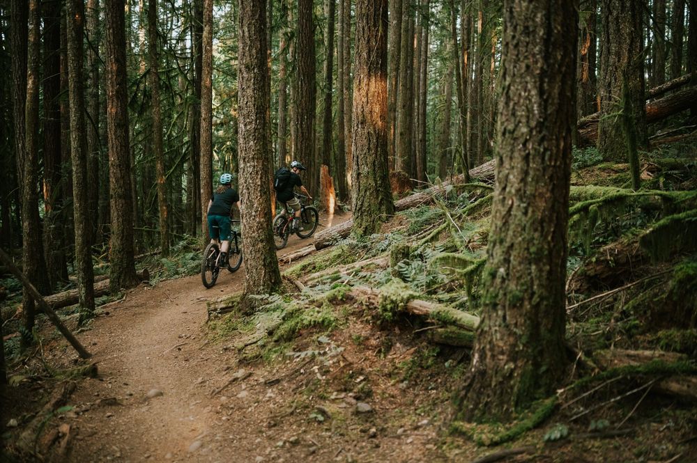 Adventurous couple engagement session photo of couple biking up trail in Cumberland Forest Vancouver Island during sunset
