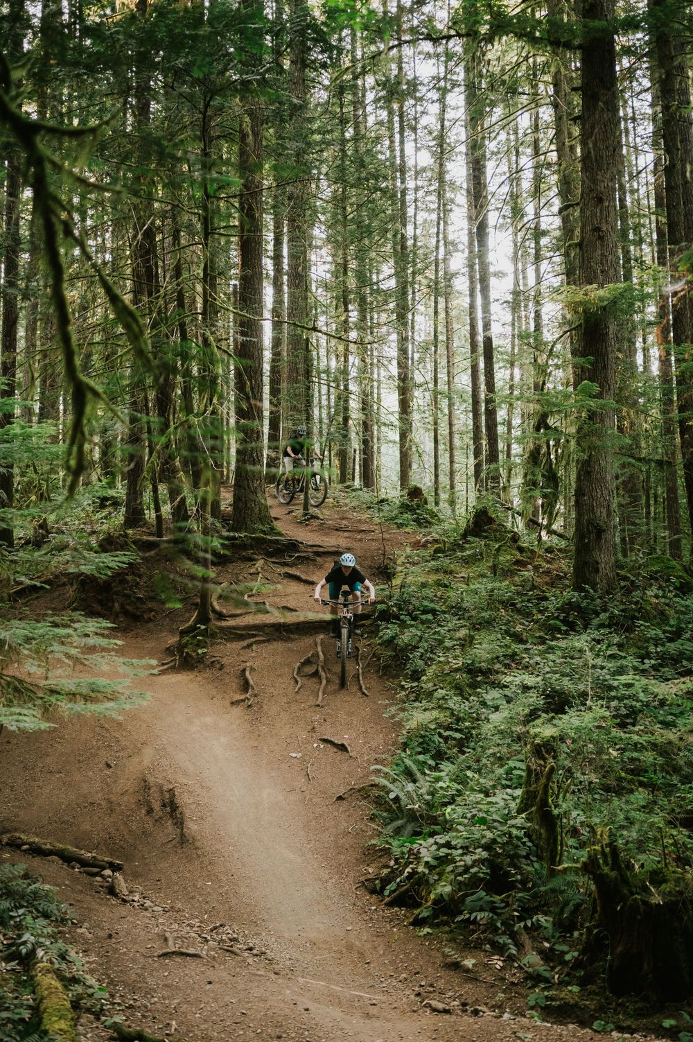 Adventurous couple engagement session photo of couple biking down trail hill in Cumberland Forest Vancouver Island through trees