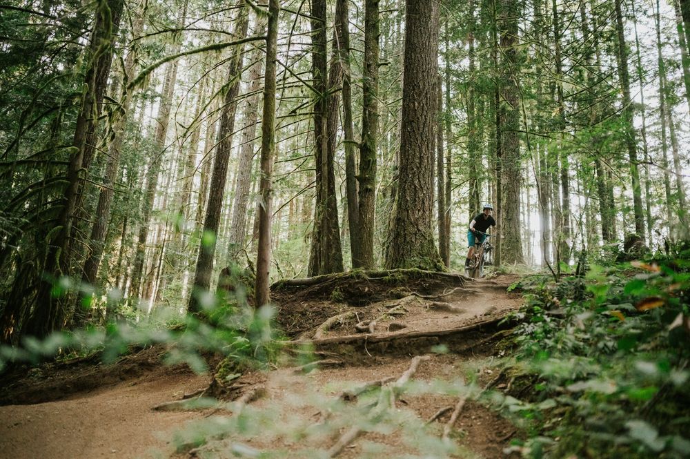 Adventurous couple engagement session photo of couple biking down trail hill in Cumberland Forest Vancouver Island doing jump