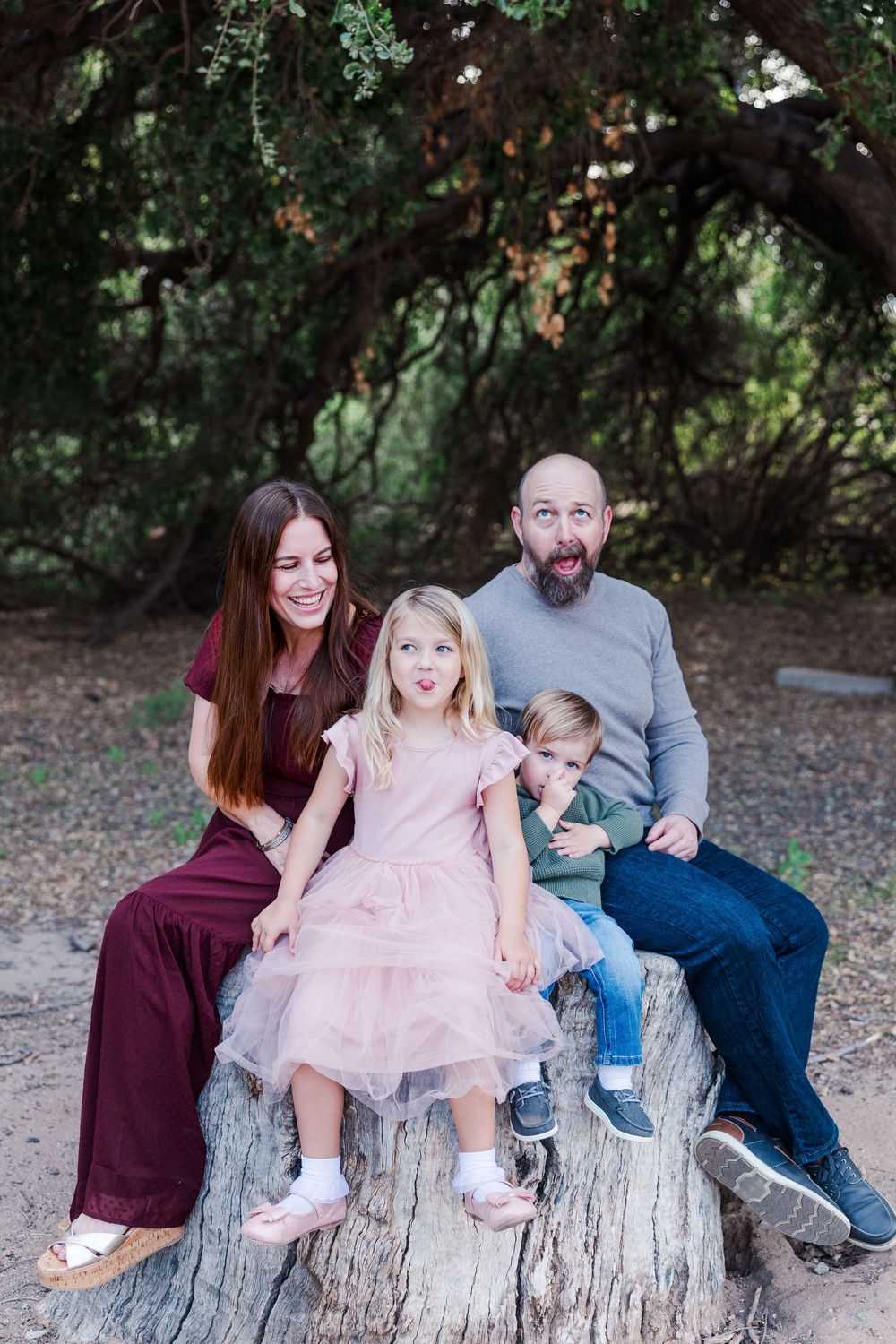 A family sits together on a fallen tree trunk in a wooded outdoor setting during a photo session.