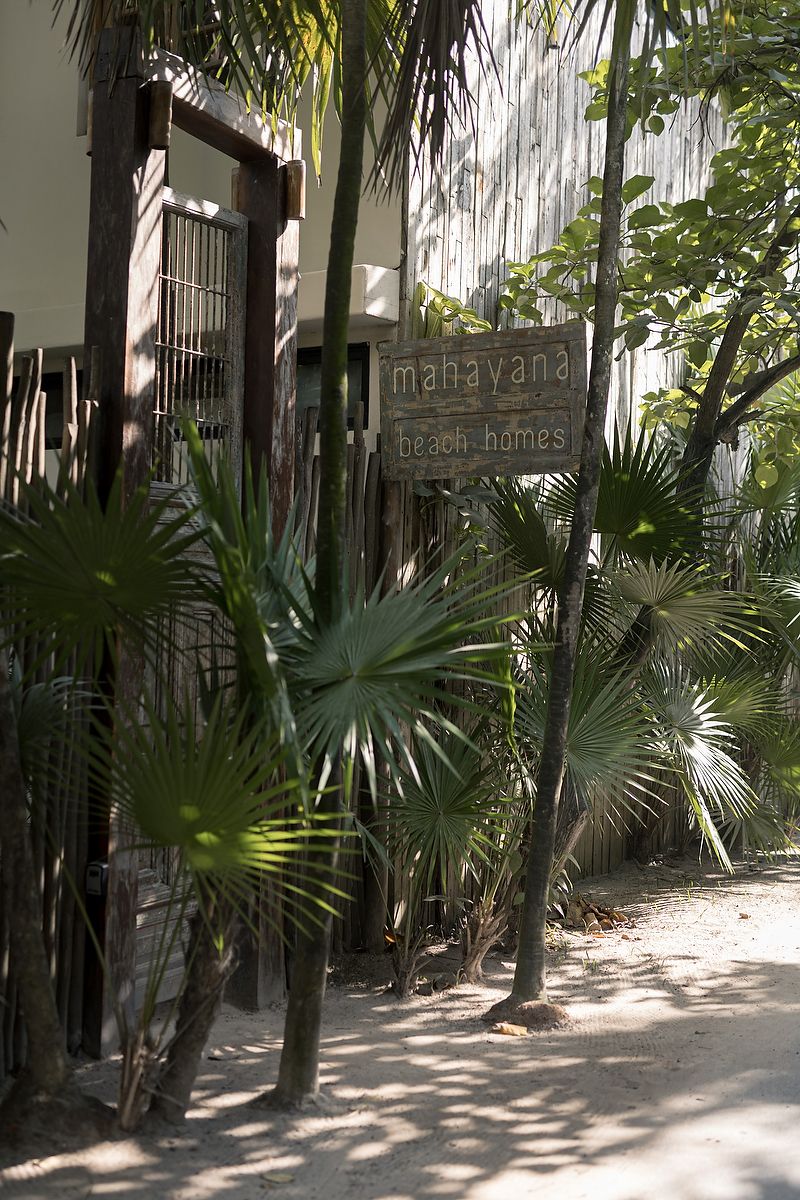 A shaded tropical garden path lined with palm trees and ornate white railings creates a serene walkway.