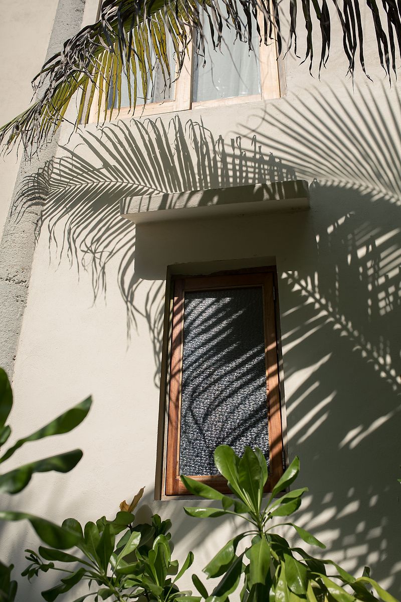 Palm fronds cast dramatic shadows on a white wall with wooden windows and tropical plants below.