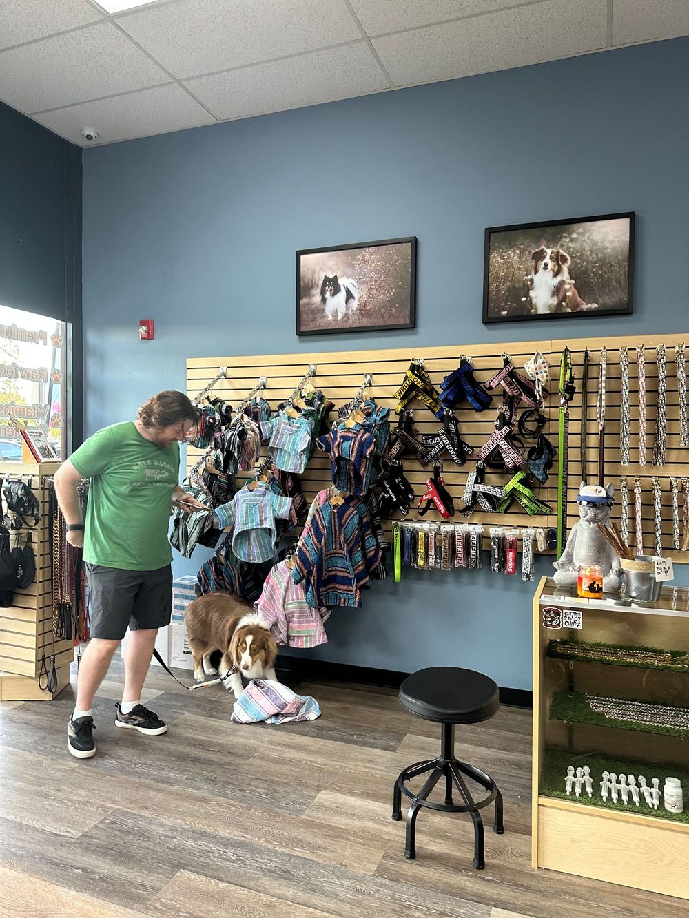 A collage of retail shoe store interior images showing wooden benches, display walls, and seating areas for trying on footwear.