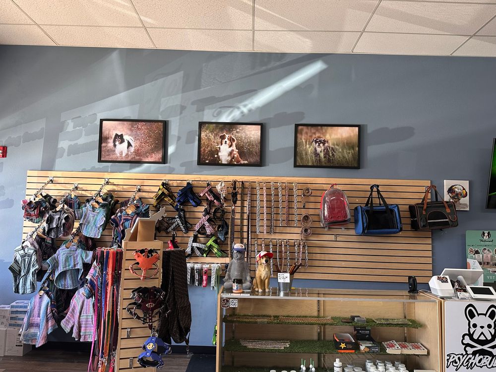 Interior view of a retail store showing clothing racks, wall displays, and merchandise arranged in a bright commercial space.