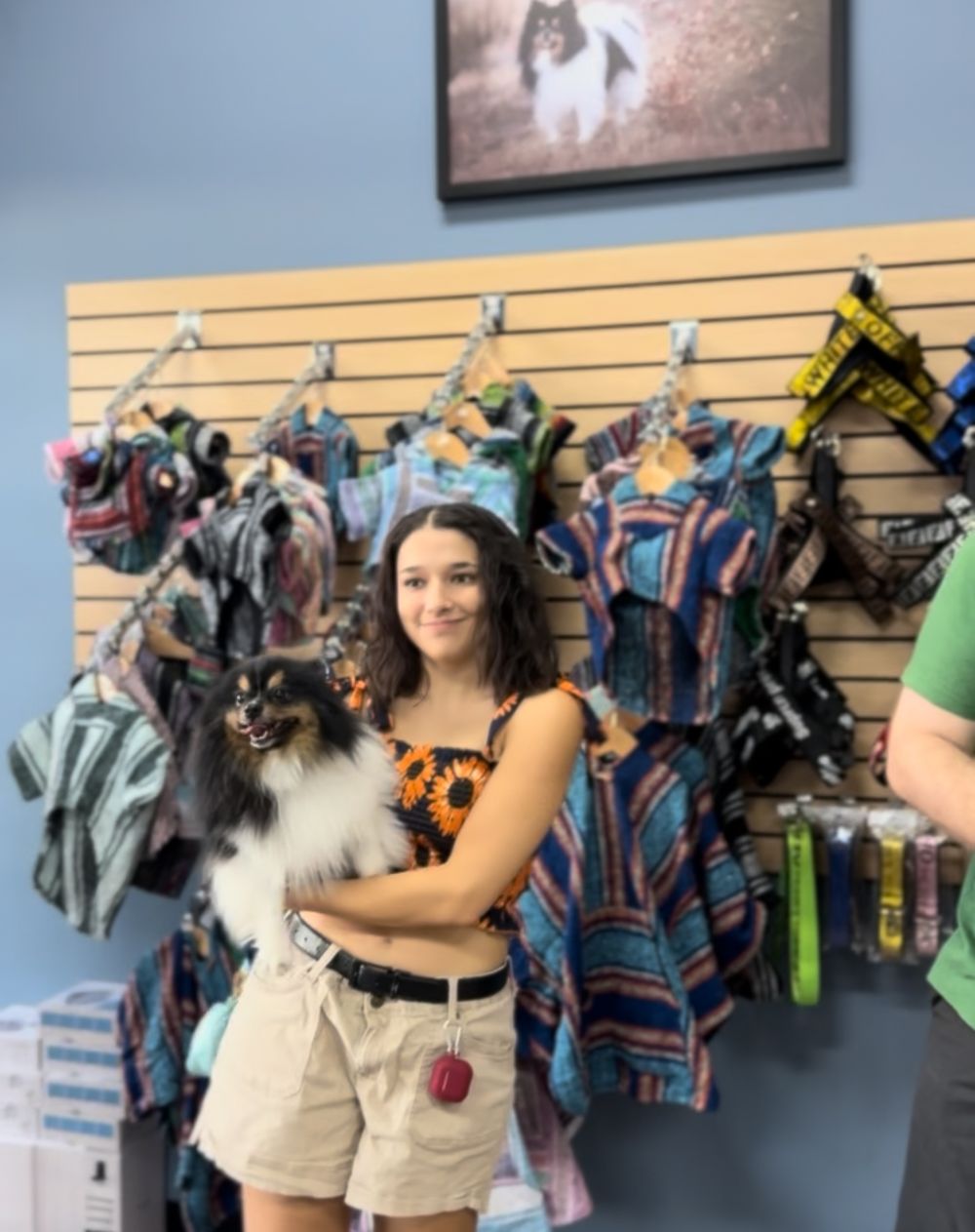 A series of images showing a pet store employee interacting with a fluffy white and grey dog in front of retail displays.
